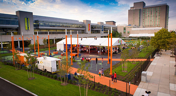 LawnonDFeature2crop-614x337