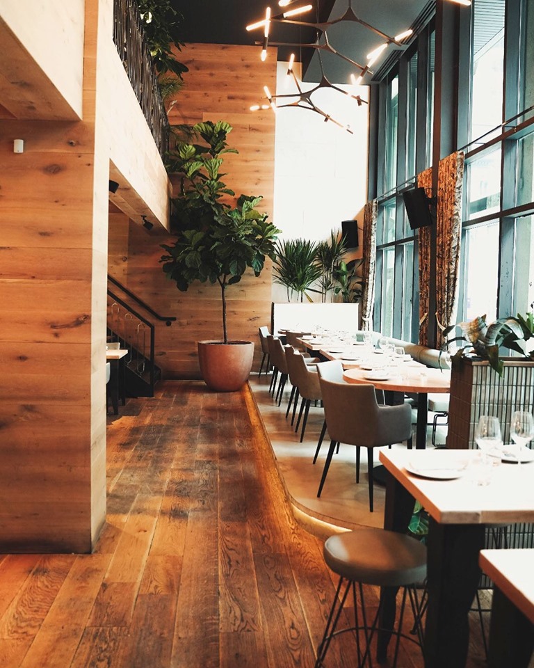 65166557_2284044975007759_3150689537630404608_n